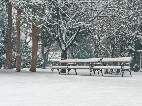 Mal de dent intense : solutions immédiates et cliniques ouvertes à Gatineau