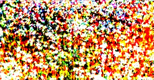 Alfalfa sans métaux lourds : le secret d'une santé optimale