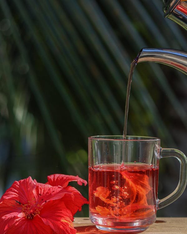 Infusion hibiscus : le compagnon idéal pour vos menstrues
